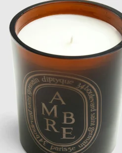 Diptyque Amber Candle Ambre 300g- Candles & Fragrances