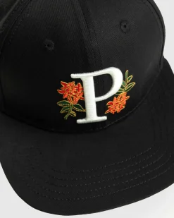 Patta Faya Lobi Libi Sports Cap- Hats