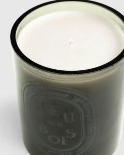 Diptyque Grey Candle Feu de Bois 300g- Candles & Fragrances